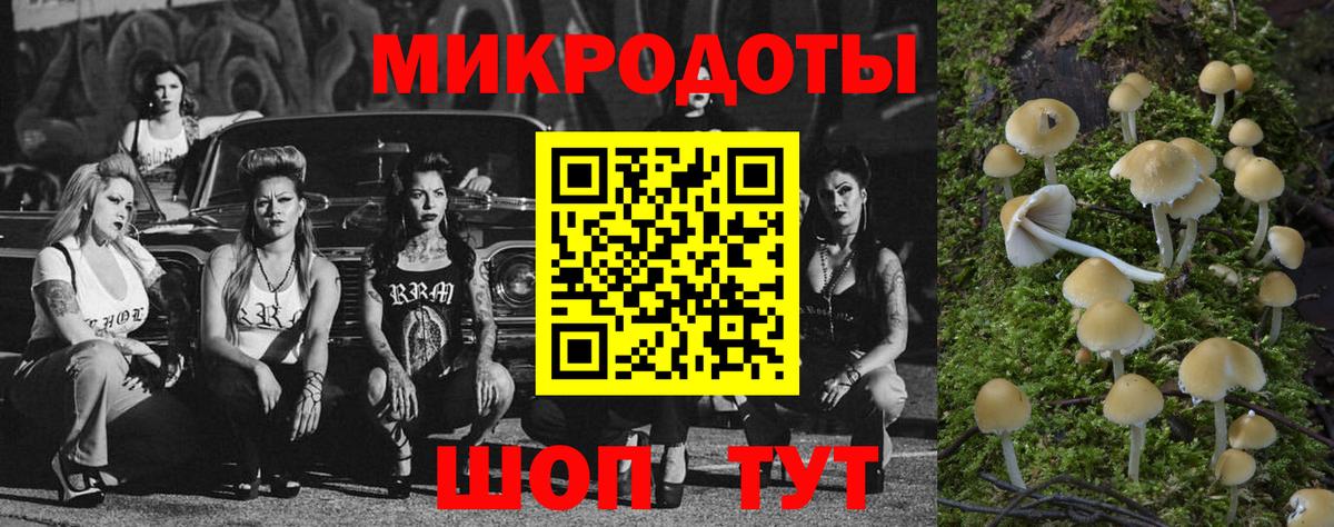 дарнет шоп  Псилоцибиновые грибы ЛСД  Вход с VPN  Чита 